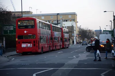 DSC_1434 (Large).JPG